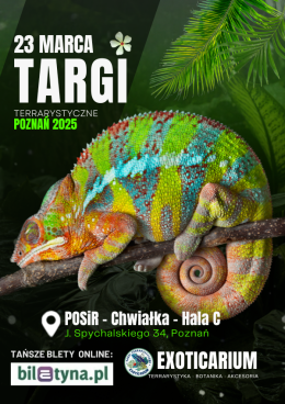 Poznań Wydarzenie Targi EXOTICARIUM Targi Terrarystyczne Poznań