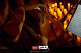 Poznań Wydarzenie Koncert Koncert wśród kwiatów i świec: Ludovico Einaudi, Yann Tiersen, Philip Glass